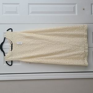 Loft Lace Shift Dress